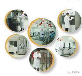 為金發科技研發團隊點贊 亞太第一、全球第二的環?？萍枷蠕h